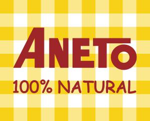 Logo Aneto